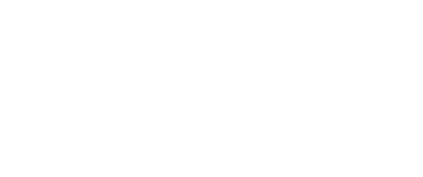 Web Synergy logo