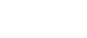 WebSynergy logo