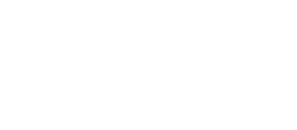 Web-Synergy